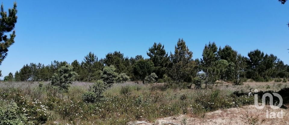 Land in Pegões of 41,750 m²