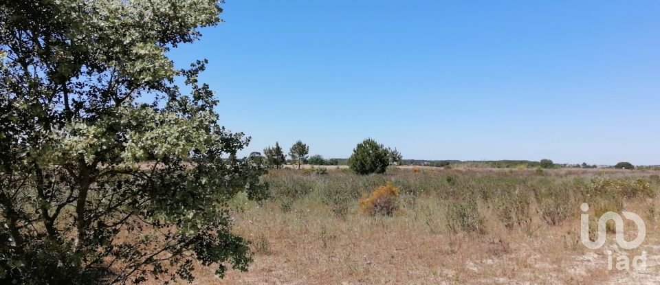 Land in Pegões of 41,750 m²