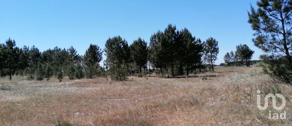 Land in Pegões of 41,750 m²