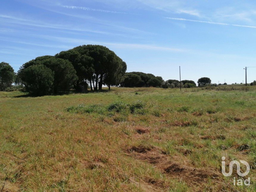 Terreno em Pegões de 19 000 m²