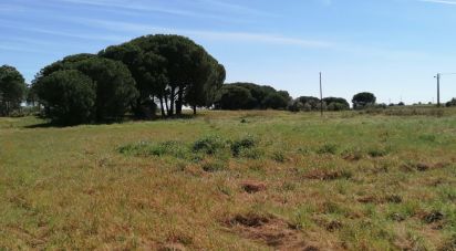 Terreno em Pegões de 19 000 m²