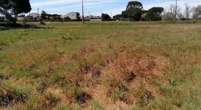 Terreno em Pegões de 19 000 m²