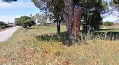 Terreno em Pegões de 19 000 m²