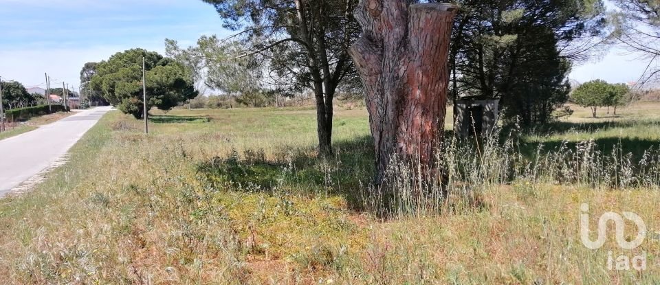 Terreno em Pegões de 19 000 m²