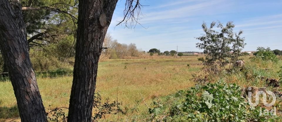 Terreno em Pegões de 19 000 m²