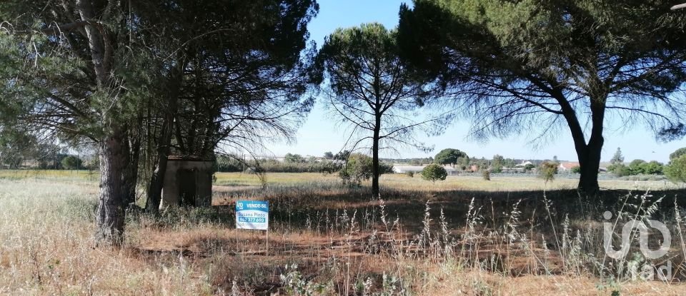 Terreno em Pegões de 19 000 m²