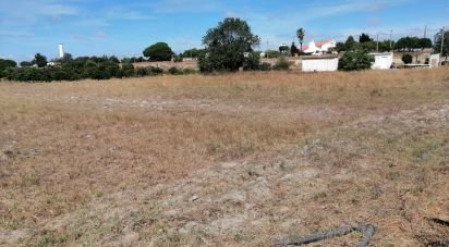 Land in Pegões of 24,750 m²