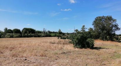 Land in Pegões of 24,750 m²