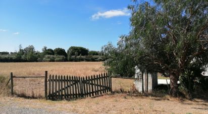 Terreno em Pegões de 24 750 m²