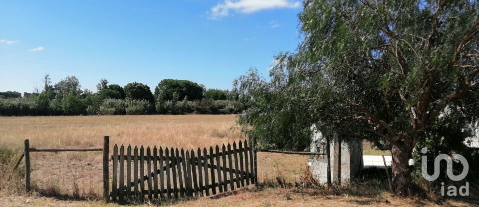 Terreno em Pegões de 24 750 m²