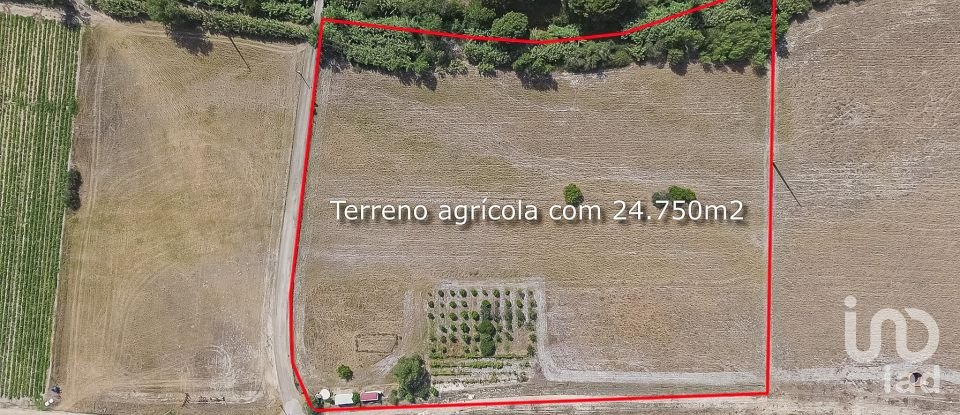 Terreno em Pegões de 24 750 m²