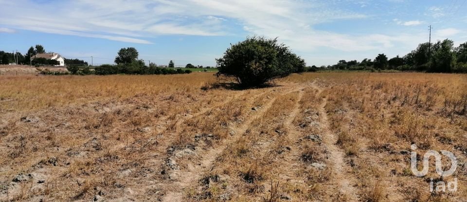 Terreno em Pegões de 24 750 m²