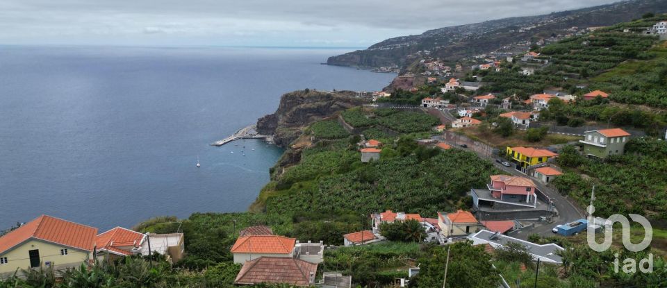 House T4 in Ribeira Brava of 155 m²