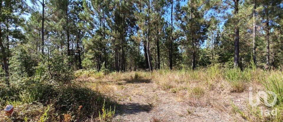 Land in Troviscal of 4,950 m²