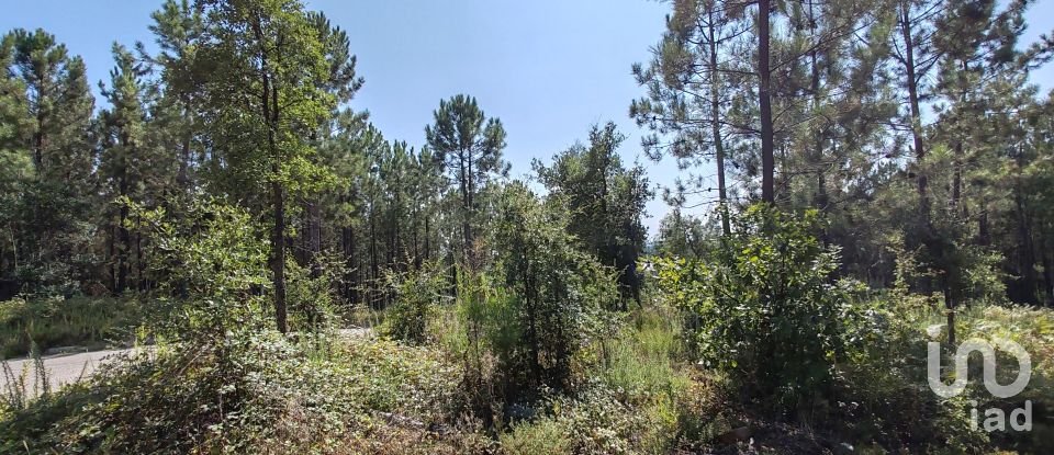 Land in Troviscal of 4,950 m²