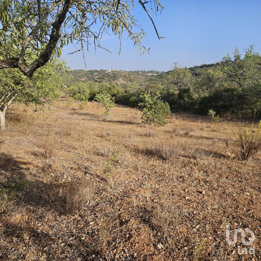 Building land in Quarteira of 11,167 m²