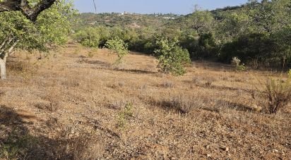 Building land in Quarteira of 11,167 m²