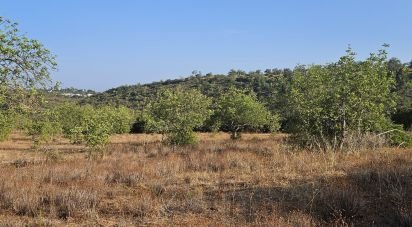 Terreno para construção em Quarteira de 11 167 m²