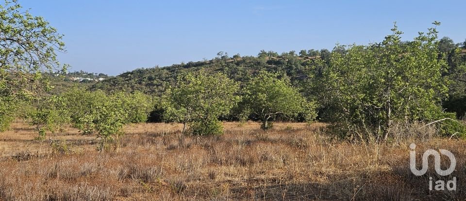 Terreno para construção em Quarteira de 11 167 m²