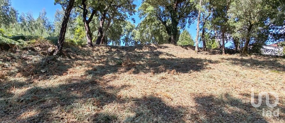 Terreno em Castanheira de Pêra e Coentral de 2 167 m²