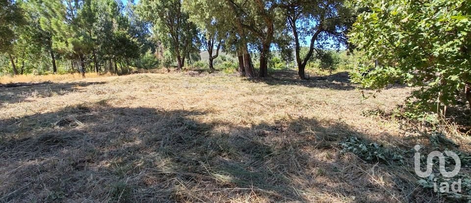 Terreno em Castanheira de Pêra e Coentral de 2 167 m²