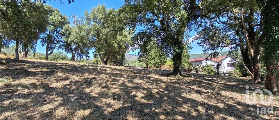 Terreno em Castanheira de Pêra e Coentral de 2 167 m²