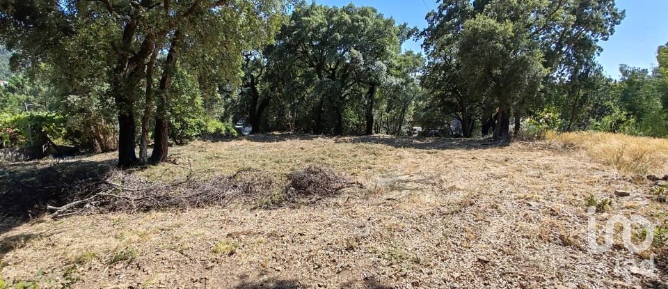 Terreno em Castanheira de Pêra e Coentral de 2 167 m²