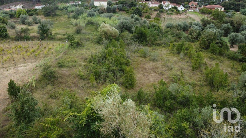 Terreno em Santiago e São Simão de Litém e Albergaria dos Doze de 1 150 m²