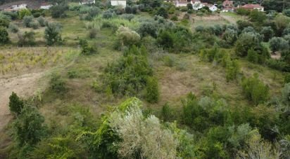 Land in Santiago e São Simão de Litém e Albergaria dos Doze of 1,150 m²