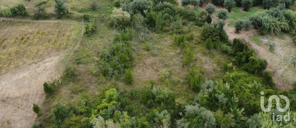 Terreno em Santiago e São Simão de Litém e Albergaria dos Doze de 1 150 m²