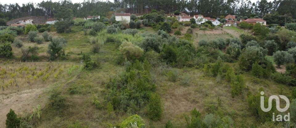 Terreno em Santiago e São Simão de Litém e Albergaria dos Doze de 1 150 m²