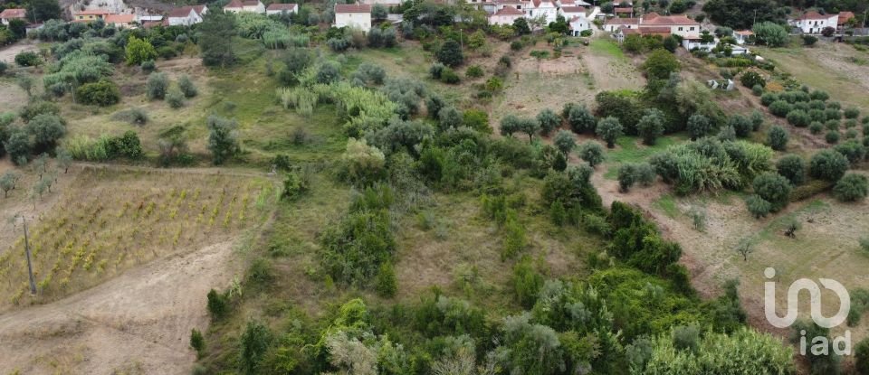 Terreno em Santiago e São Simão de Litém e Albergaria dos Doze de 1 150 m²