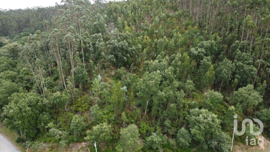 Terreno em Santiago e São Simão de Litém e Albergaria dos Doze de 840 m²