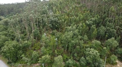 Terreno em Santiago e São Simão de Litém e Albergaria dos Doze de 840 m²