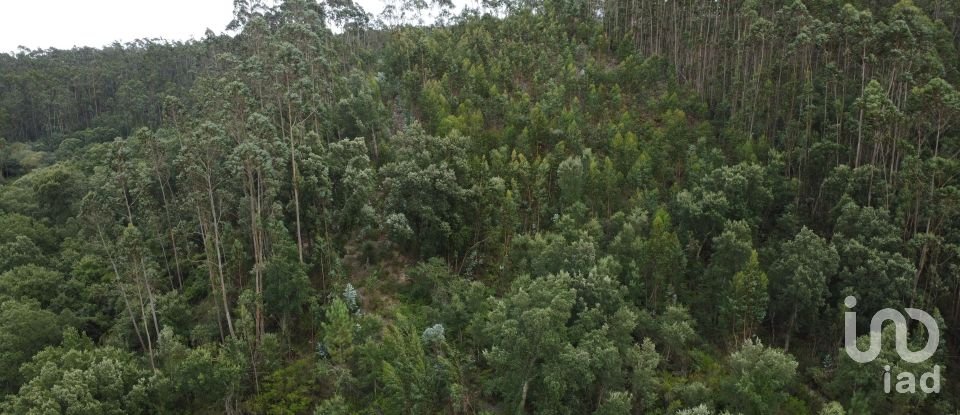 Terreno em Santiago e São Simão de Litém e Albergaria dos Doze de 840 m²