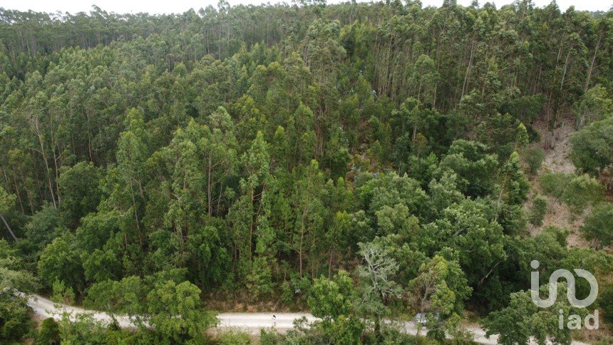 Terreno em Santiago e São Simão de Litém e Albergaria dos Doze de 1 480 m²