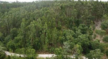 Terrain à Santiago e São Simão de Litém e Albergaria dos Doze de 1 480 m²