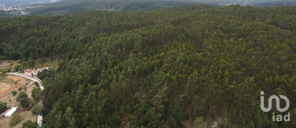 Terreno em Santiago e São Simão de Litém e Albergaria dos Doze de 1 480 m²