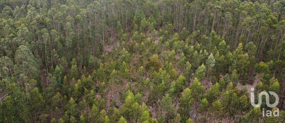 Terreno em Santiago e São Simão de Litém e Albergaria dos Doze de 1 480 m²