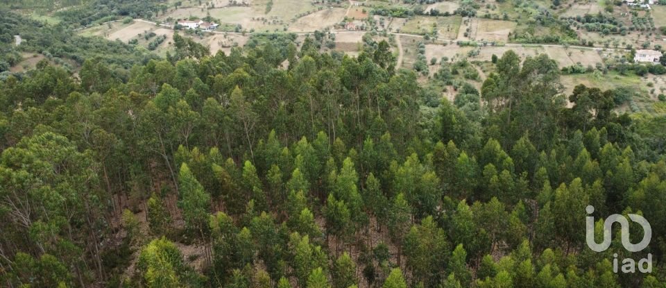 Terreno em Santiago e São Simão de Litém e Albergaria dos Doze de 1 480 m²