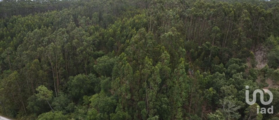 Terreno em Santiago e São Simão de Litém e Albergaria dos Doze de 1 480 m²