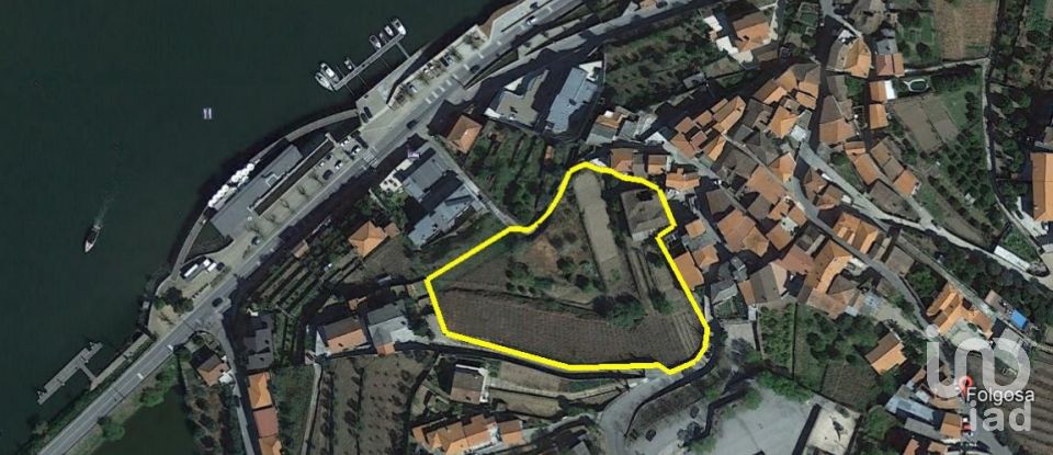 Domaine T0 à Folgosa de 5 250 m²