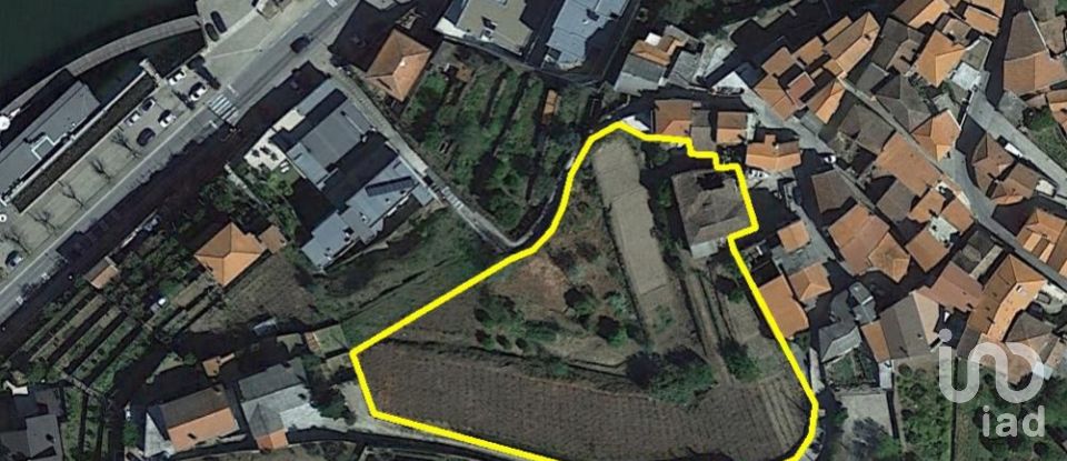 Domaine T0 à Folgosa de 5 250 m²