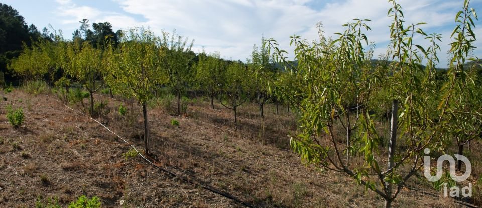 Terreno em Lamas de 11 841 m²