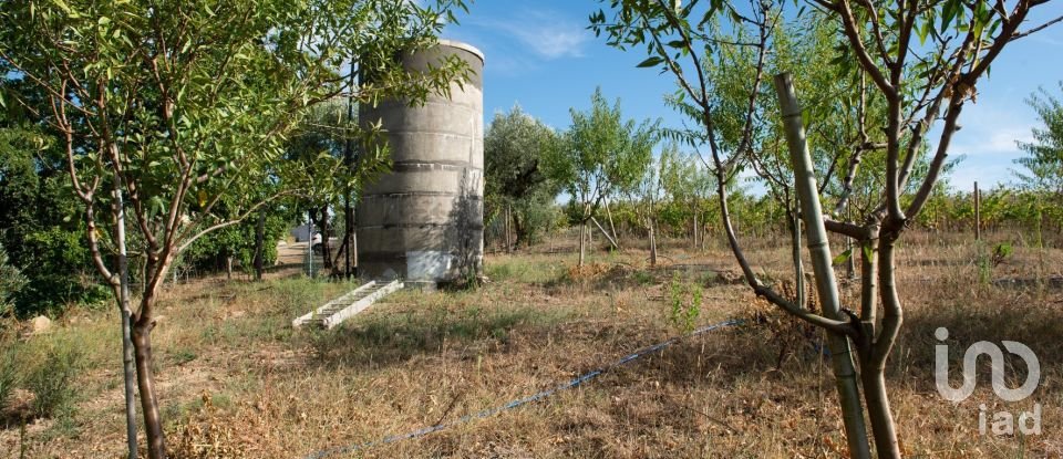 Terrain à Lamas de 11 841 m²