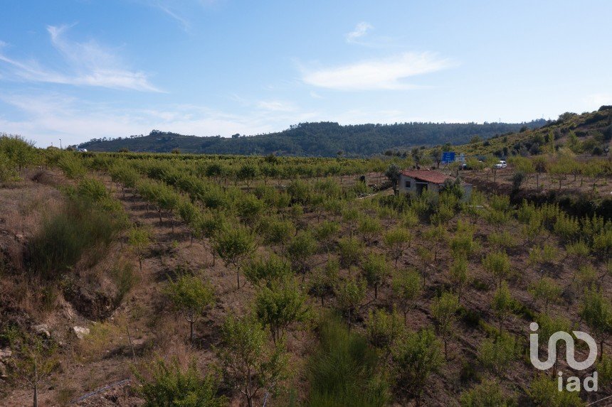 Terrain à Lamas de 11 841 m²