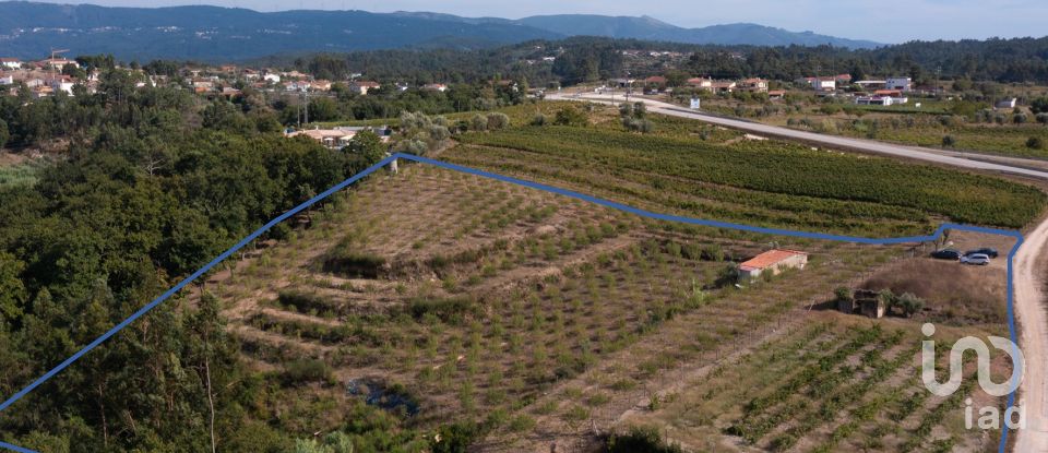 Terrain à Lamas de 11 841 m²