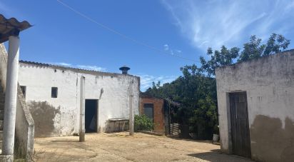 Ferme T3 à Mexilhoeira Grande de 193 m²