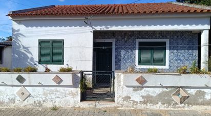 Traditional house T4 in Glória do Ribatejo e Granho of 60 m²