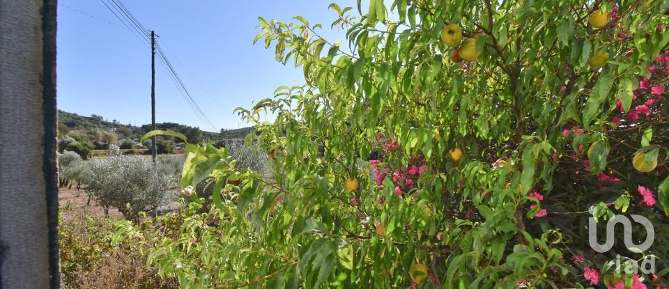 Traditional house T4 in São Miguel, Santa Eufémia e Rabaçal of 355 m²